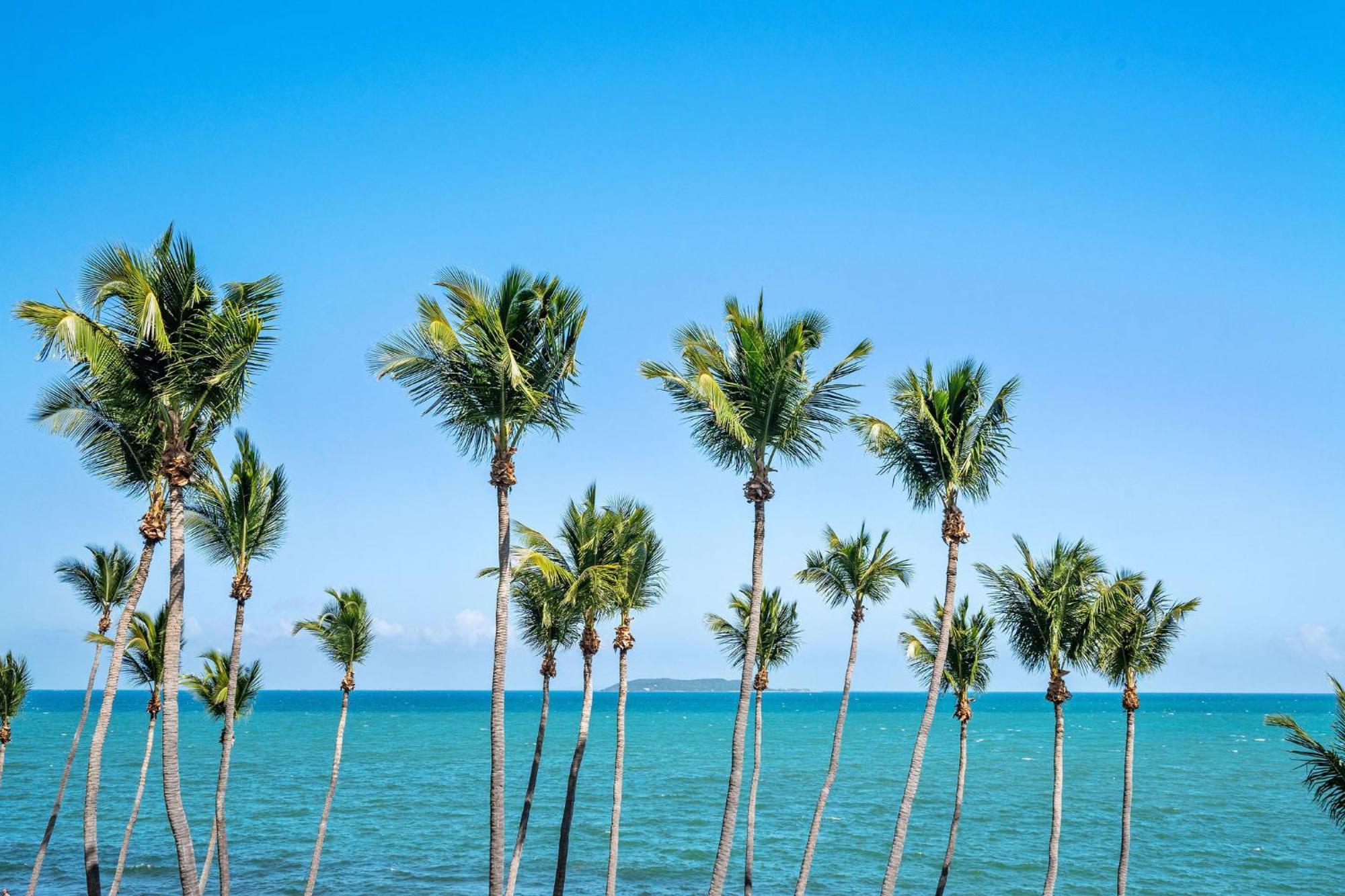 Your Ocean Zen Oasis Fajardo Exterior foto
